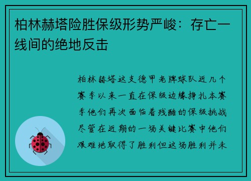 柏林赫塔险胜保级形势严峻：存亡一线间的绝地反击