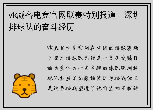 vk威客电竞官网联赛特别报道：深圳排球队的奋斗经历